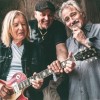 SAVOY BROWN - AIN'T DONE YET (cardboard sleeve) - ���������