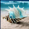 CAFE DEL MAR XXVII (VOLUMEN VEINTISIETE) - VARIOUS ARTISTS - 