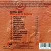 NICHOLAS GUNN - AFTERNOON IN SEDONA - 