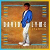 DAVID LYME - HITS & REMIXES - 