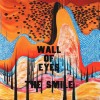 SMILE - WALL OF EYES - 