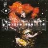 BJORK - BIOPHILIA - 