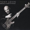 TONY LEVIN - BRINGING IT DOWN TO THE BASS - 
