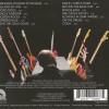 TONY LEVIN - BRINGING IT DOWN TO THE BASS - 