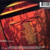 SOUNDGARDEN - DOWN ON THE UPSIDE - 