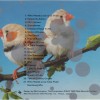 ERASURE - POP! - THE FIRST 20 HITS - ���������