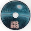 MR. BIG - GET OVER IT - 