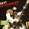 BO DIDDLEY - HEY! BO DIDDLEY - ���������