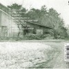 HOOTERS - ONE WAY HOME - 