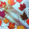 DEEP FOREST - BOHEME - 