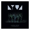 DYVA - HARSH WIND - ���������