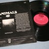 ANIMALS - THE MOST OF THE ANIMALS (uk) - ���������