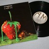 STRAWBS - CHOICE (uk) - ���������