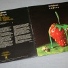 STRAWBS - CHOICE (uk) - ���������