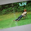 LIVINGSTON TAYLOR - LIV - ���������