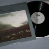 OMD - ORGANISATION - ���������