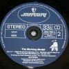 BOYTRONIC - THE WORKING MODEL - 