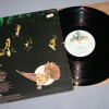 BARCLAY JAMES HARVEST - GONE TO EARTH (uk) - 