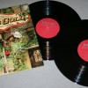 24     - WIENER GOLD - 