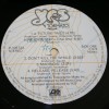 YES - TORMATO (j) - 