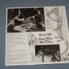 EMERALD WEB - DRAGON WINGS AND WIZARD TALES - 