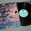 ERASURE - WILD! - 