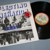 STRAY - REFLECTING A GENERATION (compilation) - 