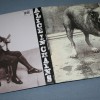 ALICE IN CHAINS - ALICE IN CHAINS - 