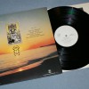 STEVE HILLAGE - MOTIVATION RADIO - ���������