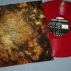 SLAYER - DOWN INTO THE FIRE (colour bootleg) - ���������