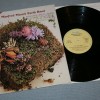 MANFRED MANN'S EARTH BAND - THE GOOD EARTH - 