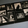 PINK FLOYD - ANIMALS - 