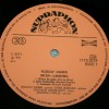 RUDOLF DASEK - MEZIPRISTANI/ INTER-LANDING - ���������
