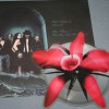 NIGHTWISH - AMARANTH (single) (picture) - 