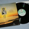 STEVE HILLAGE - MOTIVATION RADIO - 