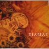 TIAMAT - WILDHONEY - ���������