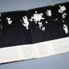 PROCOL HARUM - SHINE ON BRIGHTLY (a) - ���������