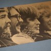 CREEDENCE CLEARWATER REVIVAL - CREEDENCE GOLD (j) - 