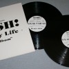 SASH - IT'S MY LIFE - 