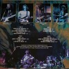 DIRE STRAITS - SULTANS IN COLOGNE (colour) - Меломания