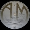STRAWBS - HERO AND HEROINE (uk) - ���������