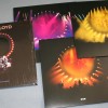 PINK FLOYD - DELICATE SOUND OF THUNDER - 