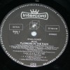 MOVE - FLOWER IN THE RAIN - 