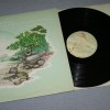 KLAATU - ENDANGERED SPECIES - ���������
