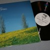 GEORGE WINSTON - WINTER INTO SPRING - ���������