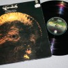 GREENSLADE - SPYGLASS GUEST - ���������