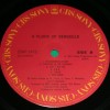 A FLOCK OF SEAGULLS - A FLOCK OF SEAGULLS - 