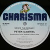 PETER GABRIEL - SHOCK THE MONKEY (single) - ���������
