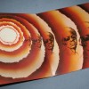 STEVIE WONDER - SONGS IN THE KEY OF LIFE (+7 EP) - Меломания