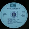 HOW BLUE CAN WE GET? - BLUE HORIZON COMPILATION - ���������